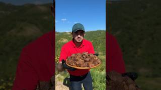 🍖Гӯштбирён (Қайла) | Roast Meat | گوشت کبابی😋 Жареное мясо на природе.