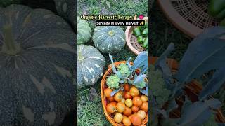 Nature’s Freshest Gift 🍃 #garden #farming #gardening #organic #villagelife #viral #shorts #plants