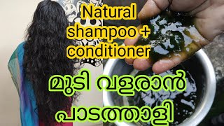 മുടി വളരാൻ പാടത്താളി|| Natural shampoo + conditioner