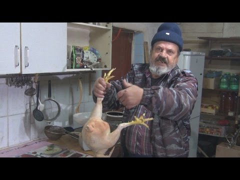 Бройлер 5 кг, без гири в жопе Бройлер 5 кг, без гири в жопе