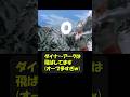 八つ裂き光輪(ウルトラスラッシュ)集 #ウルトラマン#趣味に生きるウルトラマン
