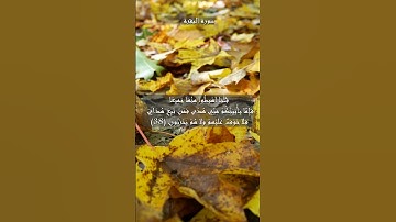#سورة #البقرة #الآية #38 #و #39