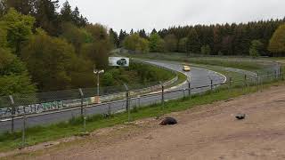 Nurburgring Brünnchen Corner Light View