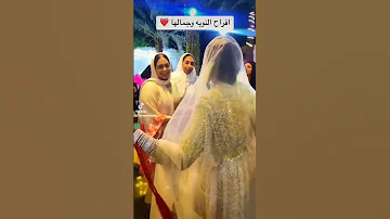 افراح النوبة 