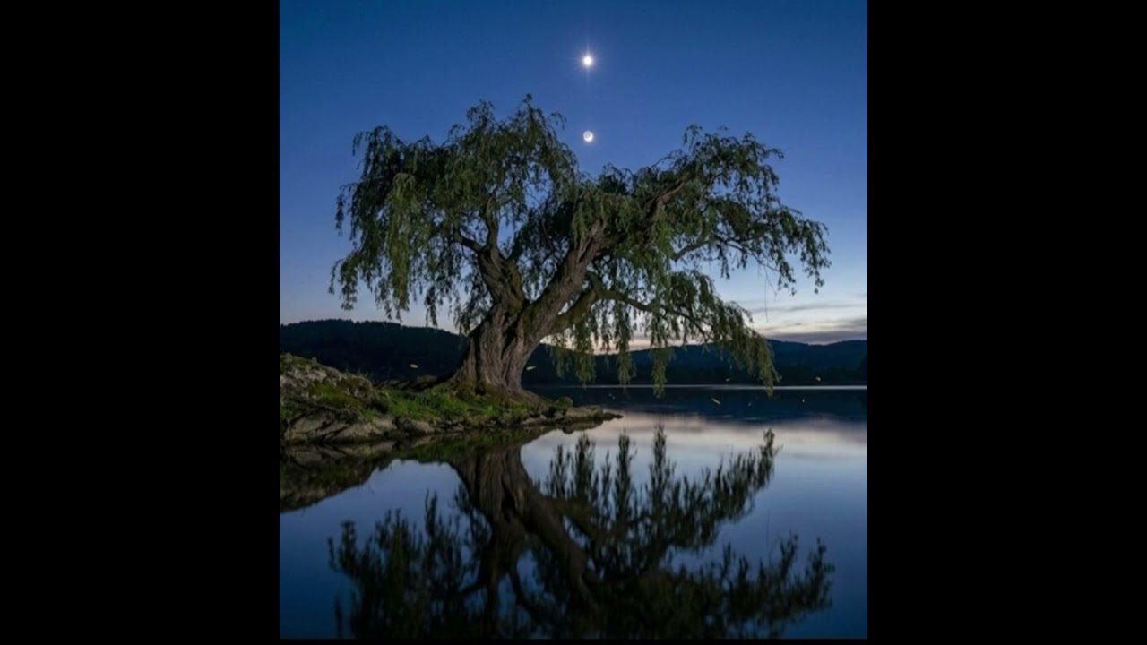 Зоре моя вечірняя...