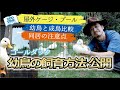 ★【コールダック幼鳥飼育方法公開】屋外飼育小屋・トロ舟改良プール、成長との比較、同居の注意点など @ZOO TIME