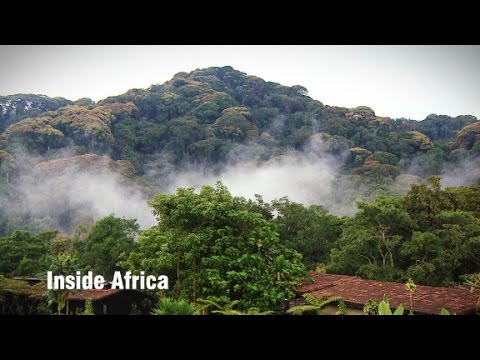 Video: Nyungwe Forest Nasionale Park, Rwanda: Die volledige gids