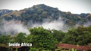 Inside Africa - Rwanda's Nyungwe Forest National Park