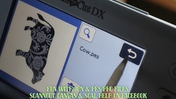 New ScanNCut DX PES/PHC applique function Brother ScanNCut Jen Blausey