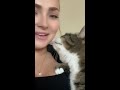 loverpets直播