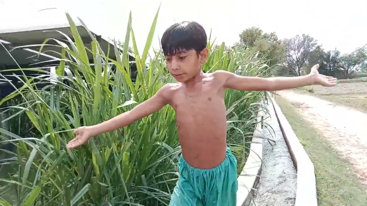 rajab village boy tube well swim ep 5 swimming village vlog how