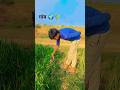 farming reels❤️🌍 #song #farming #khetibadi #dailyshorts #virulshorts