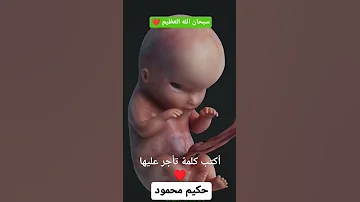 مراحل نمو الجنين في بطن امه سبحان الله العظيم 
