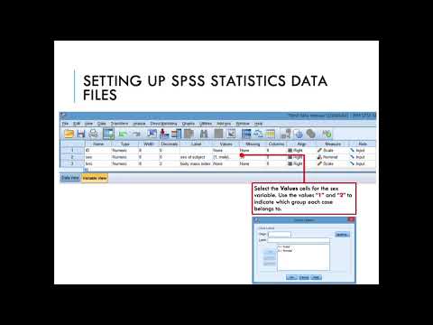 How to enter numerical data on SPSS