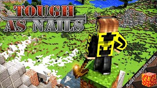 Tough As Nails Mod 1.17.1/1.12.2/1.10.2 (Ultimate Realistic Survival) for Minecraft PC