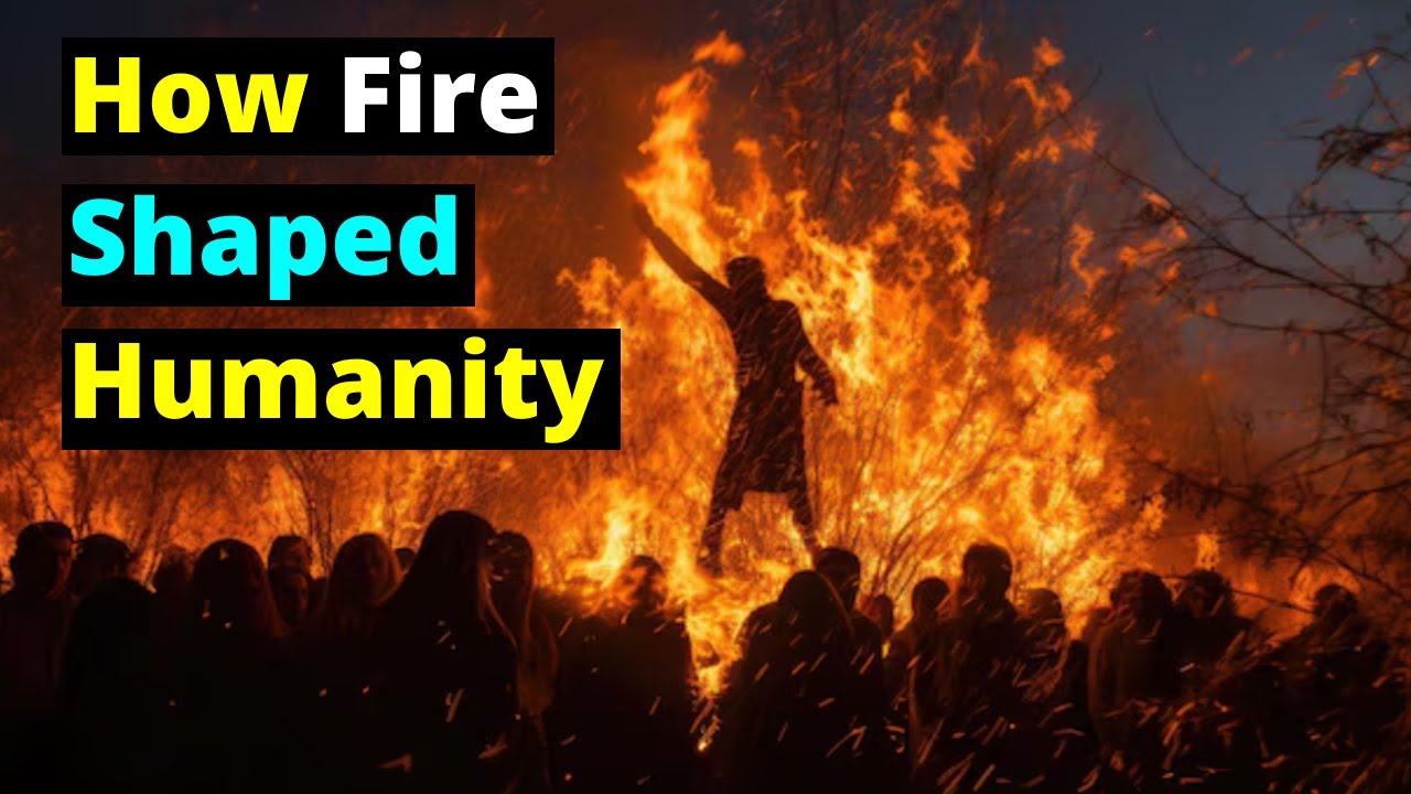 The Flame of Progress: How Fire Shaped Humanity! - YouTube