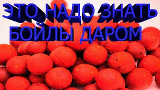 БОЙЛЫ СВОИМИ РУКАМИ В ДОМАШНИХ УСЛОВИЯХ  ВАРЕНЫЕ ПЫЛЯЩИЕ БОЙЛЫ НА КАРПА робин рэд аттрактант RED DIP