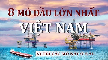 8 MỎ DẦU LỚN NHẤT VIỆT NAM, BAO GIỜ THÌ VIỆT NAM CẠN DẦU