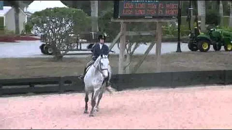 Video of SILHOUETTE ridden by LISA LIND from ShowN...