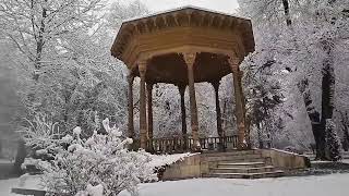 Snowy Walk in Botanical Garden | POV Dushanbe | #POV screenshot 1