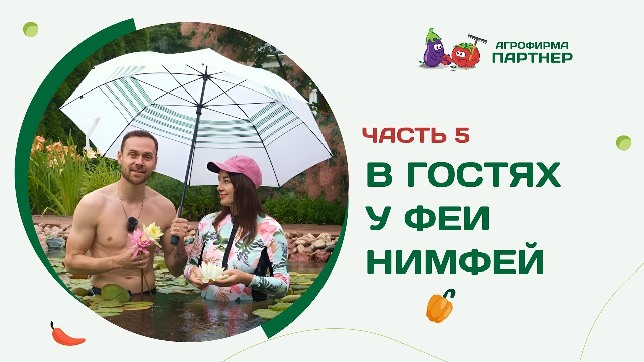 УДИВИТЕЛЬНЫЙ САД СВЕТЛАНЫ НАУМОВОЙ