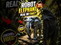 क्या आपने कभी Robot Elephant देखा है? 🤯 #shorts #trending #explore #viral #RobotElephant #AIShorts