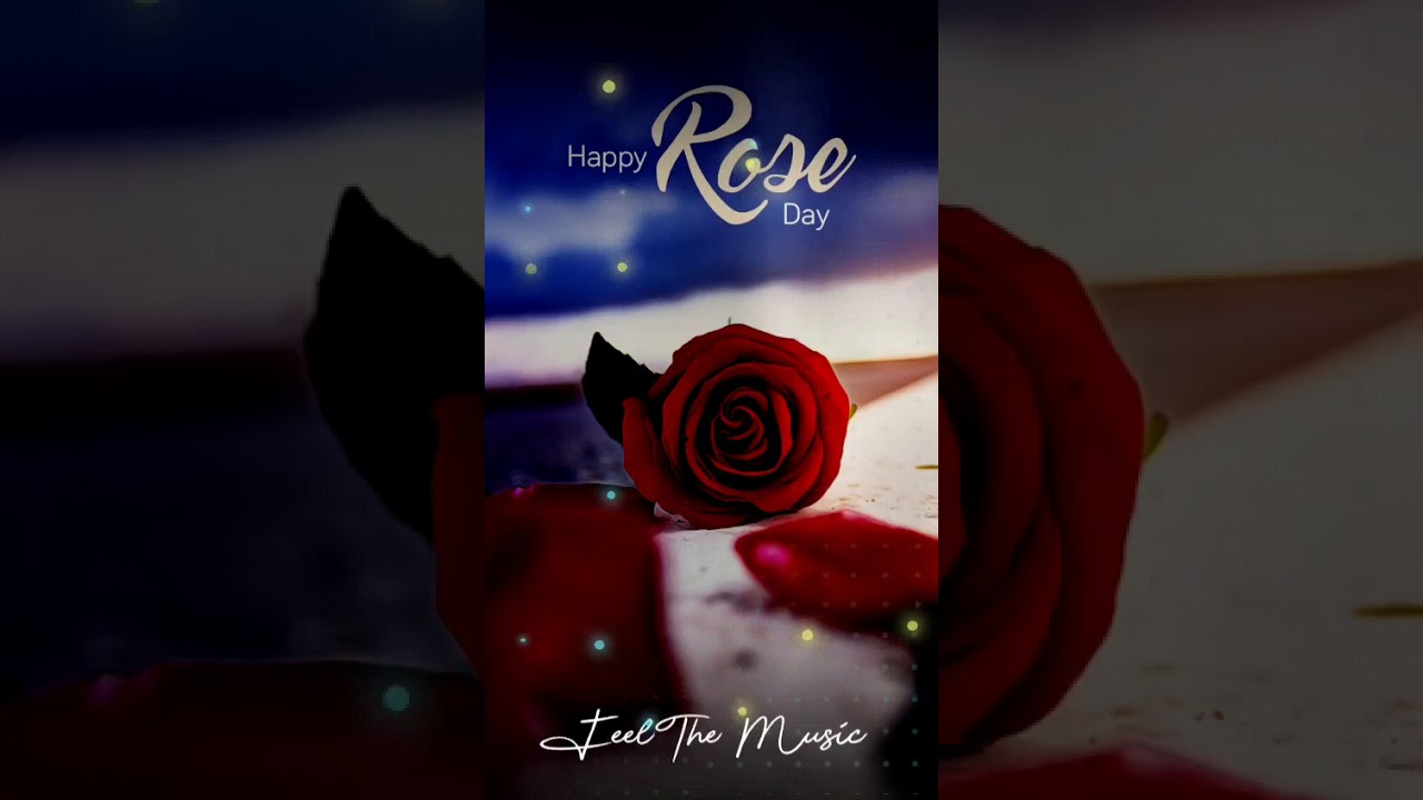 Rose Day Status 2021  # Latest 7th February status 2021  Happy Rose Day status