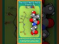 Pantothenic Acid (Vitamin B5) | CoA Creator #Molecule