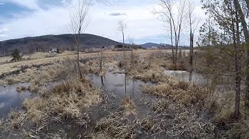 DJI Phantom 2 Tree Crash and Recovery