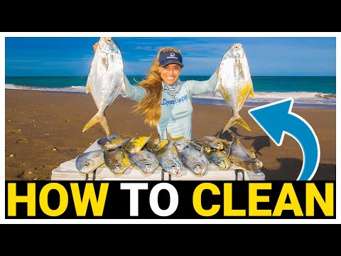 How To Fillet A Florida Pompano Easy
