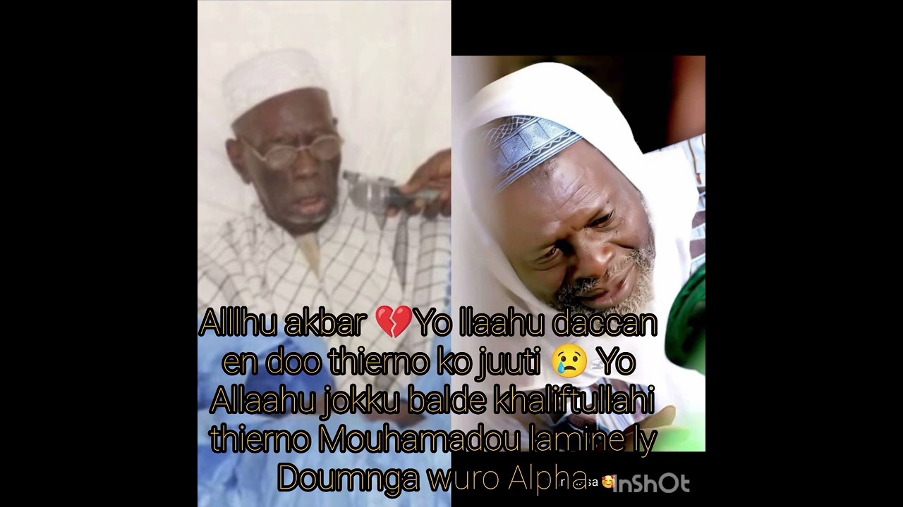 Halaah juurminika Thierno Mouhamadou samassa et thierno Mouhamadou lamine ly Doumnga wuro Alpha