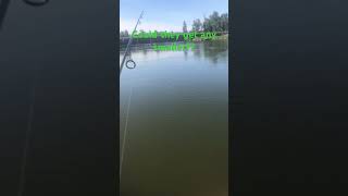 Bobber down… I guess?? #fishing #bobber