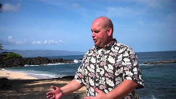 How to sell more by making the buyer look smart - Scott Sylvan Bell