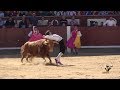 🕺🏽🐂 Momentos de la Final del Campeonato de España de Recortes 2018 en Las Ventas, 4K