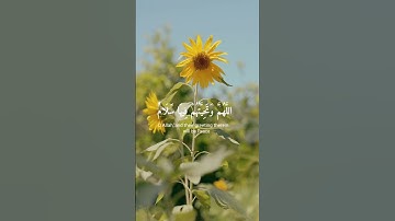 القرآن ولا شيئ غير القرآن #اكسبلور #اكسبلور_explore #راحة_نفسية #اكسبلورر #راحة #تلاوة_خاشعة #قرآن