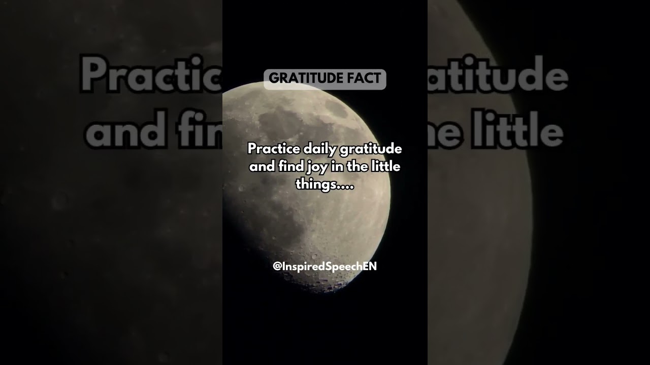 Practice daily gratitude and find joy in the little things....