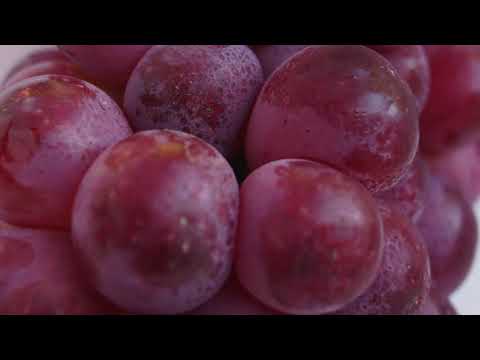 Video: Apple And Grape Vinegars