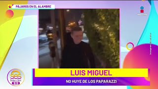 ¡Luis Miguel SALUDA a los paparazzis en Texas! Ahora luce más feliz antes las cámaras | Sale el Sol