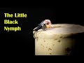 Little Black Stonefly Nymph
