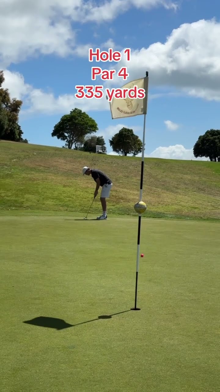 Day 325: Playing GOLF EVERYDAY until I make 18 pars in a row
