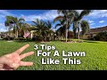 Florida Winter Lawn Care Tips