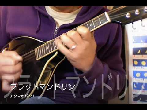 Mavis IFM-70 F型フラットマンドリン tremolo様用 Mavis IFM-70 F型フラットマンドリン tremolo様用