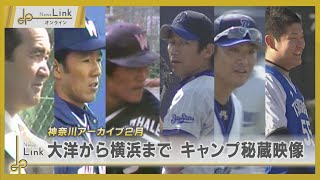 From the Yokohama Taiyo Whales to the Yokohama BayStars: Secret