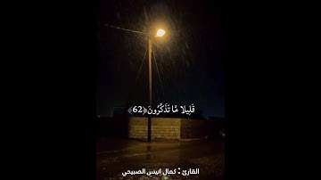 ماتيسر من سورة النمل للأخ القارئ كمال أنيس الصبيحي حفظه الله إمام وخطيب مسجد ذي النورين عدن دار سعد