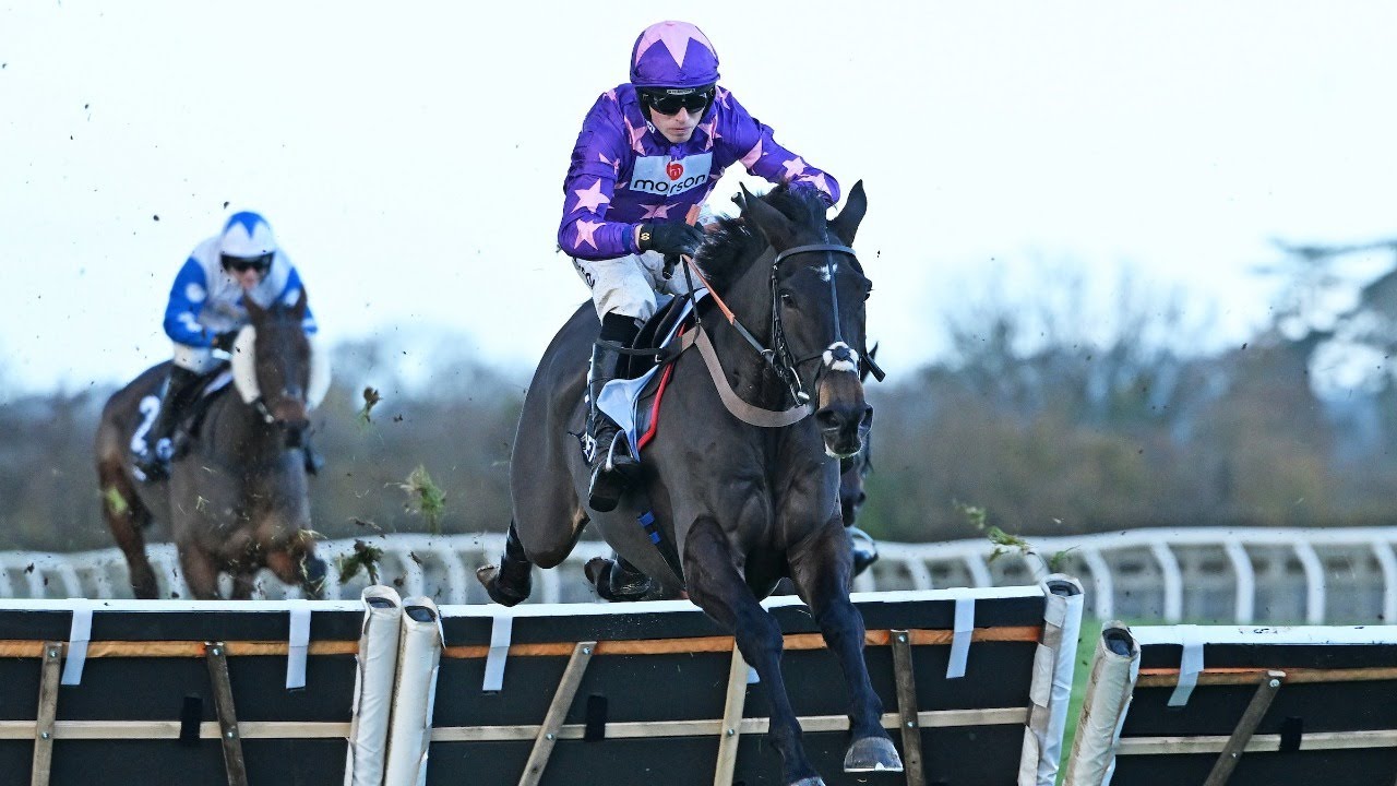Rubaud justifies 1/8 favouritism… just in Elite Hurdle | Racing TV