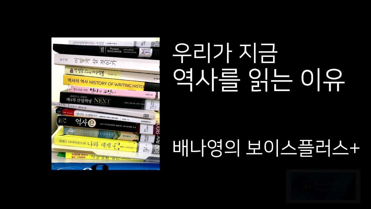 [책추천]  역사가 궁금할 때 읽어볼만한 책 4권 ,  북튜버 배나영의 보이스플러스+