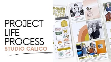 Project Life Process Layout 2023 | DT Studio Calico Field Notes Kits