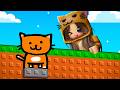 Encontramos TODOS los GATITOS en Roblox Find the Kitten