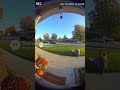 The Neighbor Who Trips Slightly #funnymoments #neighborhood #caughtoncamara