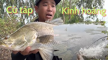 Hành Trình Thử Thách Câu Cá Chẽm Hàng 2x Thiên Nhiên Cà Mau Tập 8 || Chí Toàn Fishing
